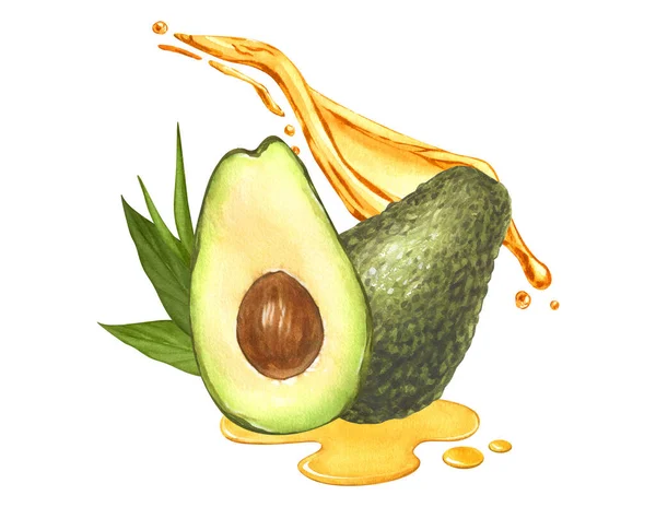 Akvarell Mogen Avokado Oljestänk Från Avokadofrukt Handritad Illustration Isolerad Vit — Stockfoto