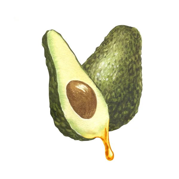 Akvarell Två Mogna Avokado Olja Droppar Från Avokado Frukt Och — Stockfoto