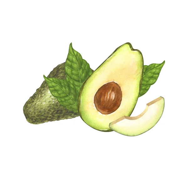 Aquarell Frische Realistische Grüne Avocado Eine Ganze Zweite Hälfte Mit — Stockfoto
