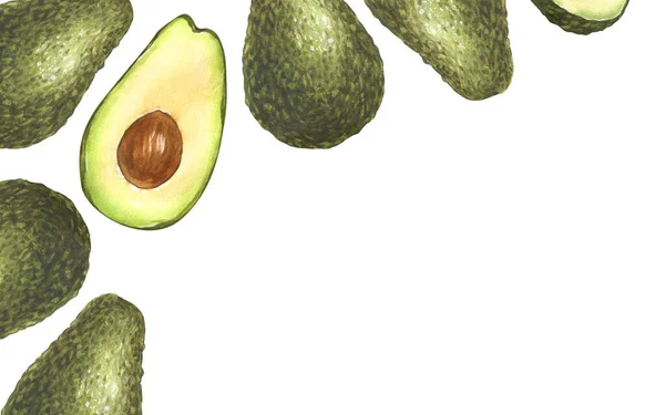 Aquarel Rijp Avocado Frame Handgetekende Illustratie Geïsoleerd Witte Achtergrond Perfect — Stockfoto