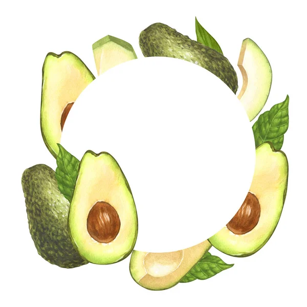 Aquarel Rond Frame Rijp Avocado Halveert Avocado Handgetekende Illustratie Geïsoleerd — Stockfoto