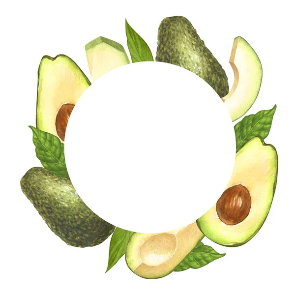 Aquarel Rond Frame Rijp Avocado Halveert Avocado Handgetekende Illustratie Geïsoleerd — Stockfoto