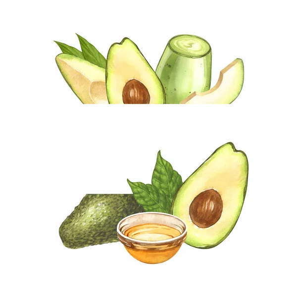 Aquarel Frame Rijpe Avocado Olie Glazen Schaal Bovenaanzicht Handgetekende Illustratie — Stockfoto