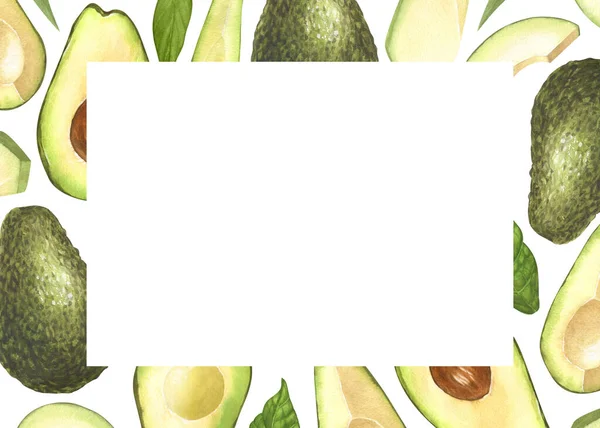 水彩画框 成熟鳄梨和半熟鳄梨 在白色背景上孤立的手绘插图 完美的概念食品菜单 食品绘图 设计包装 健康饮食 — 图库照片