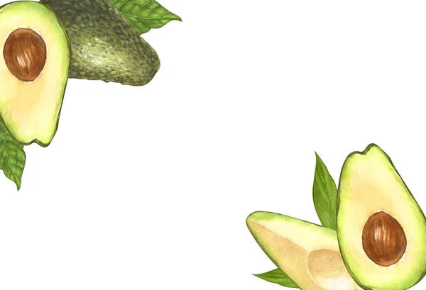 水彩画框 成熟鳄梨和半熟鳄梨 在白色背景上孤立的手绘插图 完美的概念食品菜单 食品绘图 设计包装 健康饮食 — 图库照片