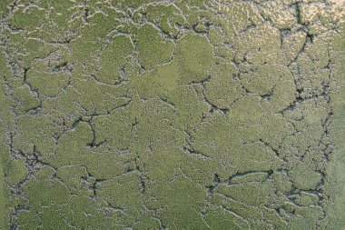 Seramik yüzlü fayansların dokusu kapanıyor. Dekorasyon Malzemeleri. 