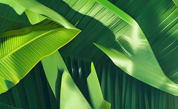 green leaves background. tropical jungle.