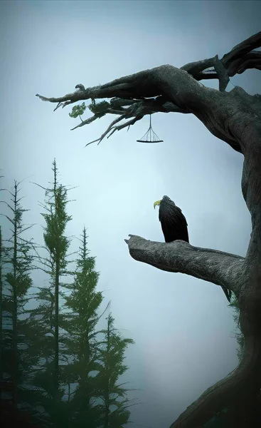 a bird in the forest