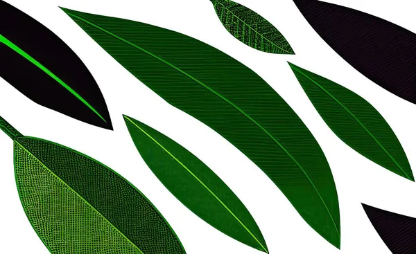 green leaves pattern, botanical background