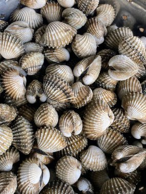 İçinde deniz kabuğu olan bir kase fotoğraf, bir kasede araflı kabuklar bir kaşıkla bir masada.