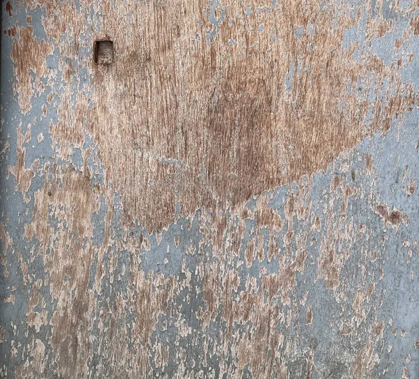 Fotografia Kota Siedzącego Drewnianej Powierzchni Niebieskim Tłem Ściana Zardzewiałą Powierzchnią — Zdjęcie stockowe