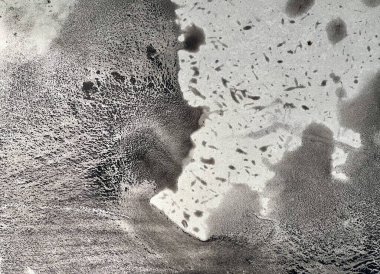 Bir ayının siyah-beyaz fotoğrafında, sudaki bir ayının siyah-beyaz fotoğrafı var.