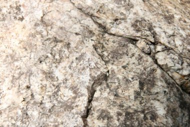 Üzerinde küçük bir böcek olan bir kayanın fotoğrafı, bir kayanın üzerinde oturan küçük bir böcek var.