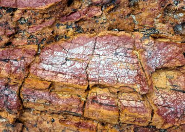 Bir kayanın üzerinde beyaz bir çizgi var..