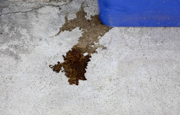 Yerde mavi bir konteynırın yanında duran toprak kovası..