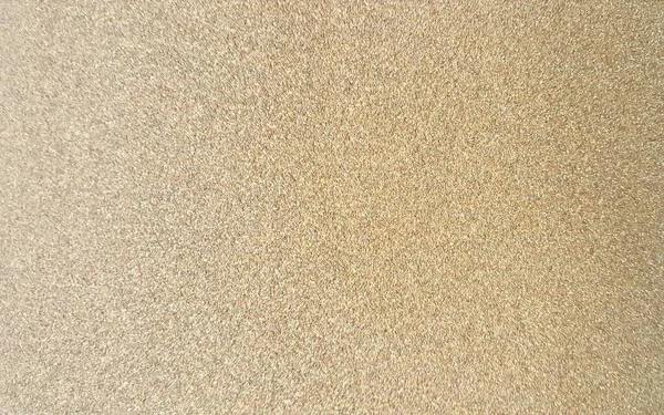 Scarabeo Sterco Sulla Sabbia Una Spiaggia Con Una Tavola Surf — Foto Stock