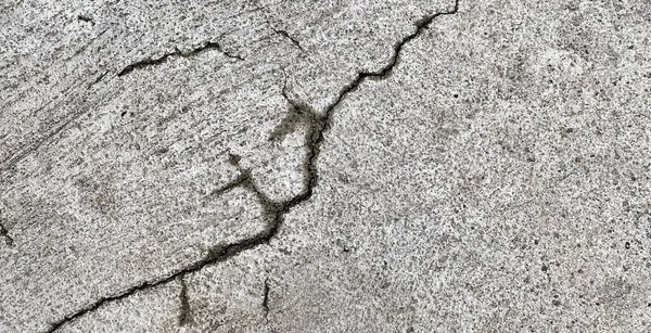 Nematode Worm Crawling Crack Concrete — Stock Photo, Image