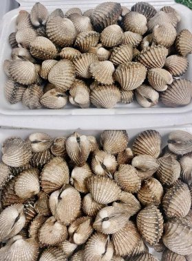 Masada iki tepsi midyenin fotoğrafı var. Masada iki tepsi midye var..