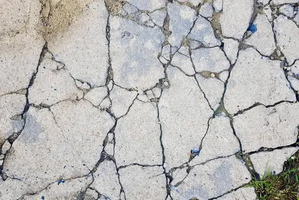 Photography Close Concrete Surface Cracks Concrete Surface Cracks Grass Growing — Stock Photo, Image
