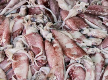 Bir yığın mürekkep balığının ve bir sürü beyaz şeyin fotoğrafı. Bir tavada pişirilen bir sürü mürekkep balığı var..