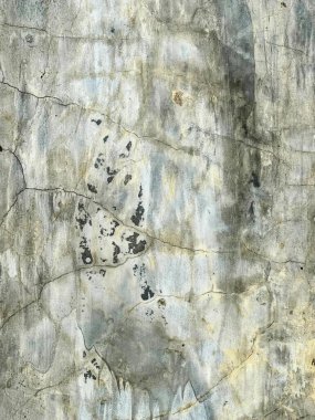 Bir kayanın üzerinde yürüyen şapkalı ve sırt çantalı bir adamın fotoğrafı var. Şapkalı ve ceketli bir adamın resmi var..