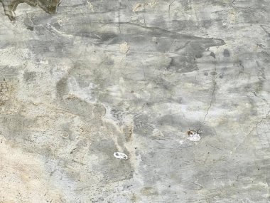 Sörf tahtasıyla bir kayanın üzerinde duran bir adamın fotoğrafı. Beton bir yüzeyde oturan beyaz ve siyah bir kedi var..