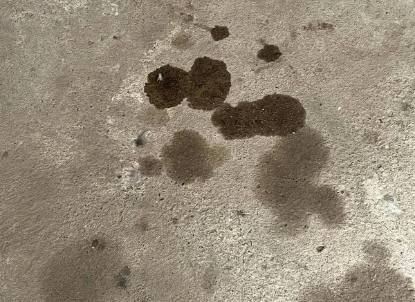 Фотографія Брудної Підлоги Нанесенням Неї Лапи Собак Землі Маленький Принт — стокове фото