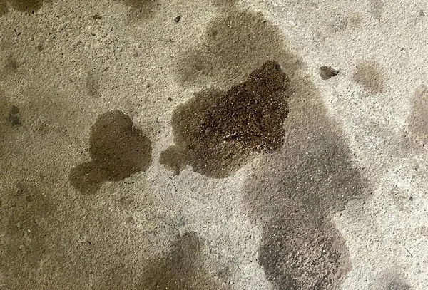 먼지가 더러운 바닥의 더러운 콘크리트 바닥에 — 스톡 사진