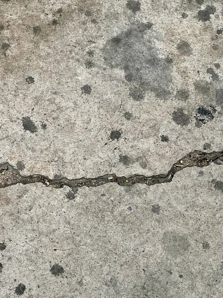 Eine Fotografie Einer Schlange Auf Einer Betonoberfläche Mit Einem Riss — Stockfoto