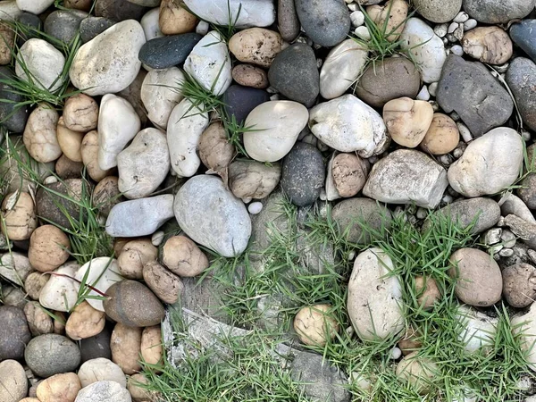 Фотография Груды Камней Травы Пляже Небольшая Груда Камней Травы Земле — стоковое фото