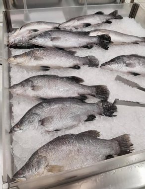 Bir buz tepsisinin üzerinde oturan bir grup balığın fotoğrafı. Vitrinde buzun üzerinde duran bir sürü balık var..