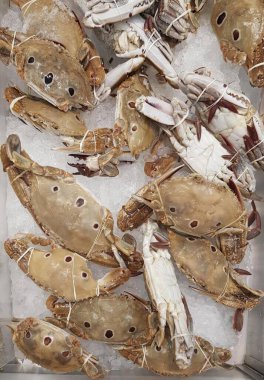 Buzdaki bir kutu yengecin bir kaç gözüyle çekilmiş fotoğrafı. Kutuda buzun içinde bir sürü yengeç var..