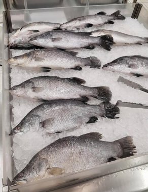 Bir buz tepsisinin üzerinde oturan bir grup balığın fotoğrafı. Vitrinde buzun üzerinde duran bir sürü balık var..