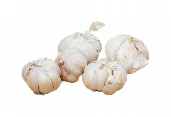 Photography Group Garlic Heads White Background Three Heads Garlic White — Stock Photo, Image