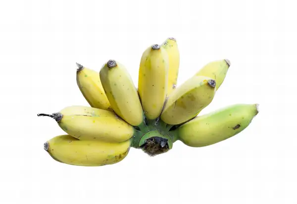 白色背景上的一堆香蕉的照片 树枝上有一堆香蕉 — 图库照片