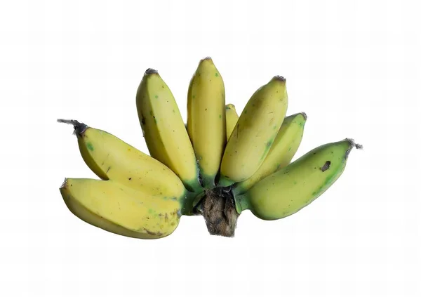 Μια Φωτογραφία Από Ένα Μάτσο Μπανάνες Λευκό Φόντο Υπάρχουν Ένα — Φωτογραφία Αρχείου