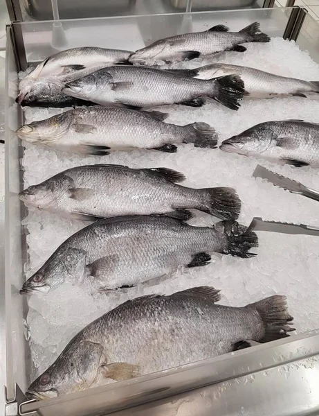 Bir buz tepsisinin üzerinde oturan bir grup balığın fotoğrafı. Vitrinde buzun üzerinde duran bir sürü balık var..