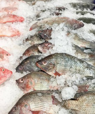 Bir grup balığın buzun üzerinde oturduğu bir fotoğraf. Masada buzun üzerinde mavi bir kaseyle bekleyen bir sürü balık var..