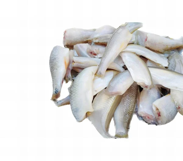 Photography Pile Fish White Surface Lot Fish Laying Ground — Stock Fotó