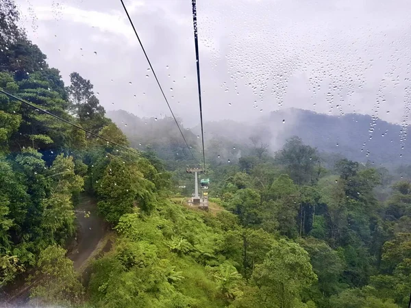 在雨中爬上高山的缆车的照片 在有树木的山上的缆车的照片 — 图库照片
