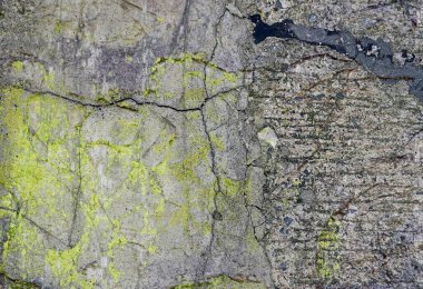 Üzerinde yosun yetişen bir kayanın yakın çekimi, üzerinde yeşil madde olan bir kayanın yakın çekimi..