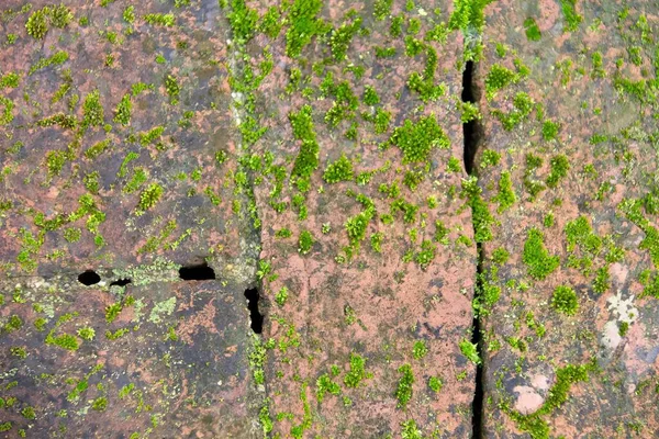 Uma Fotografia Musgo Verde Rocha Coberta Com Buraco Nele Superfície — Fotografia de Stock