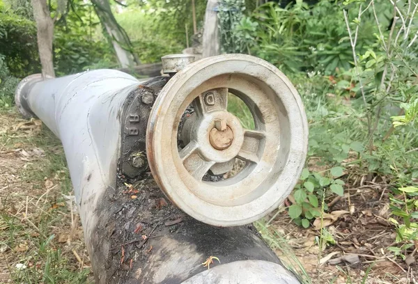 Ormanda Üzerinde Tekerlek Olan Bir Borunun Fotoğrafı Ormanda Tekerleği Olan — Stok fotoğraf