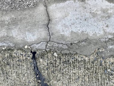 Kaldırımda yatan siyah beyaz bir kedinin fotografı. Üzerinde çatlaklar ve çatlaklar olan beton bir duvar..