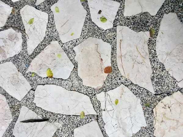 Een Foto Van Een Stenen Vloer Met Een Vogel Erop — Stockfoto