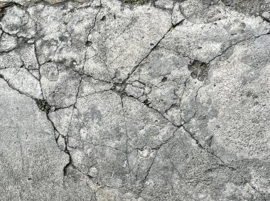 Çatlak beton bir duvarın, içinde çatlaklar ve çatlaklar olan beton bir yüzeyin büyüyen yeşil bir bitkinin fotoğrafı..