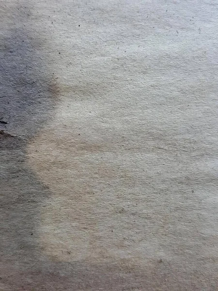 얼룩이있는 더러운 카펫의 더러운 바닥의 사진이 있습니다 — 스톡 사진