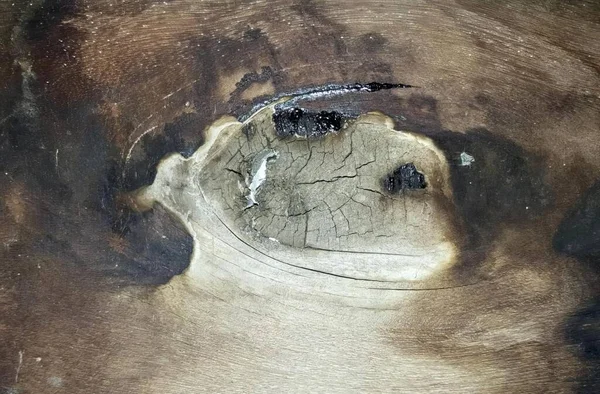Eine Fotografie Eines Holzstücks Mit Einem Loch Darin Gibt Eine — Stockfoto