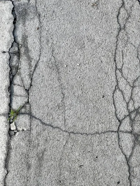 在混凝土上有裂缝的街道 混凝土表面有裂缝和裂缝的街道 以及从中生长的植物的照片 — 图库照片