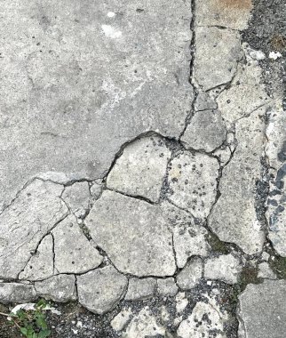 Betondaki çatlağın yeşil bir bitki tarafından büyütülmüş bir fotoğrafı. Kaldırımda çatlaklarla dolu bir yangın musluğunun yakın çekimi..